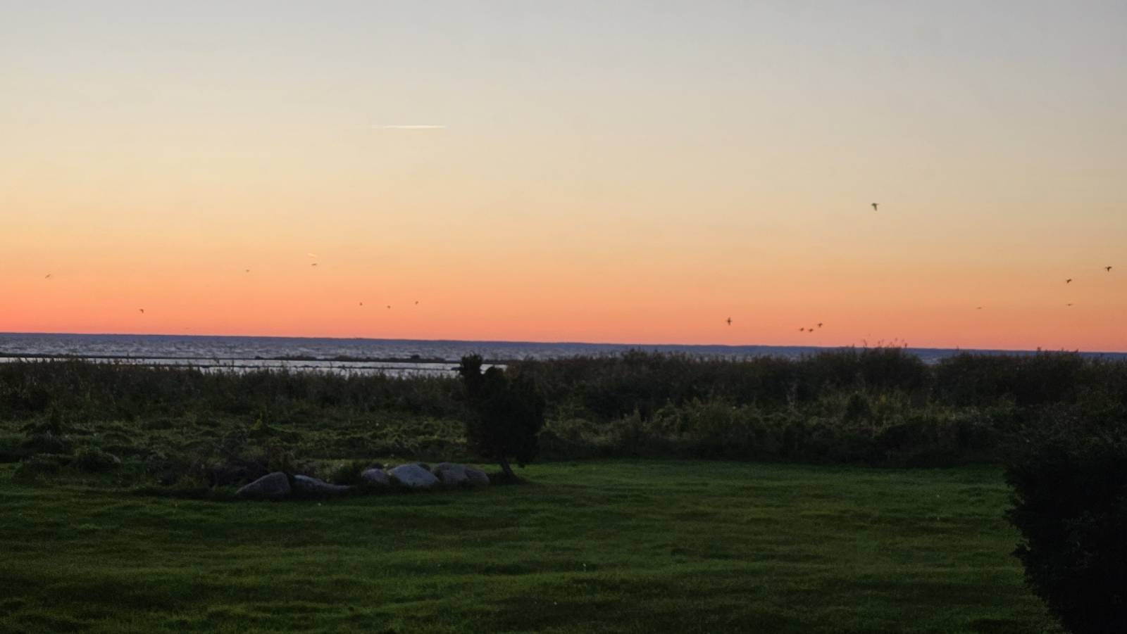 Southwest Estonia Hackathon: AI-Powered Swarm Control Development